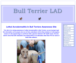 bullterrier-lad.com: lethal acrodermatitis
english bull terrier, EBT, lethal acrodermatitis, LAD, zinc deficiency, zincer, zinker,  chronic pyoderma,  paronychia,  diarrhoea,  pneumonia,  abnormal behaviour,  retarded growth,  progressive acrodermatitis
