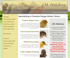 jmhatchery.com: Guinea Fowl Hatchery Farm Breeder French Guinea Fowl For Sale  - J.M. Hatchery
JW Hatchery in Pennsylvania is a Guinea fowl breeder, hatchery and farm that offers guinea fowl for sale, guinea fowl keets, french guinea fowl, and more! - JM Hatchery is a family owned hatchery of domestic poultry. We welcome your orders for Colored Range Chicks, Guinea Hen Keets, Muscovy Ducklings, Khaki Campbell Ducklings and Bantam Silkie Chicks. We package and ship our birds immediately after the eggs are hatched.