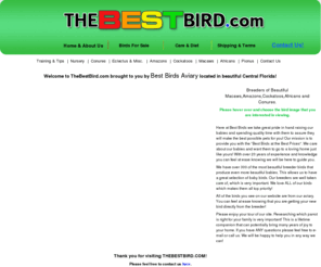 thebestbird.com: Home
thebestbird.com -Bird Breeders of African Grey Parrot, Cockatoo, Macaw, Quaker, Conure, Caique, Eclectus Parrot Breeders Directory and Sales