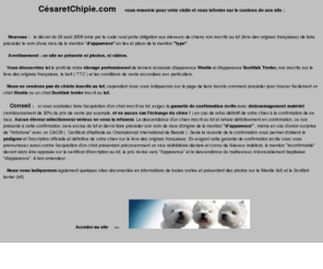 cesaretchipie.com: César et Chipie - Elevage et vente de chiots de type Westie et Scottish Terrier non lof - 32 Gers
Elevage et vente de chiots de type Westie et Scottish Terrier non lof sur le Gers ( 32 ) en Midi-Pyrénées.Tarif..