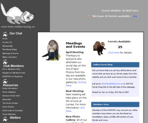 ferret.org.au: NSW Ferret Welfare Society
NSW Ferret Welfare Society - NSW Ferret Welfare Society
