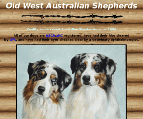 oldwestaussies.com: Old West Australian Shepherds
AKC/ASCA Reg. Australian Shepherds. Southern California breeder of quality home raised Australian Shepherds that are sound in mind and body.