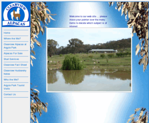 clearviewalpacas.com: Clearview Alpacas - Home Page
Official website of Clearview Alpacas