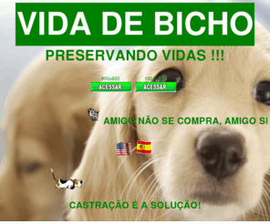 vidadebicho.org: VIDA DE BICHO
