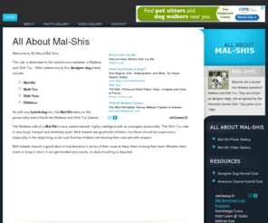 mal-shi.com: All About Mal-Shis | Malshi | Malti Tzu | Shih-Tese | Mal-shi
All About Mal-Shis is about the hybrid / designer dog mix between a Maltese and Shih Tzu, also known as Malti Tzu or Shih-Tese. Mal-Shi photos, videos and resources.