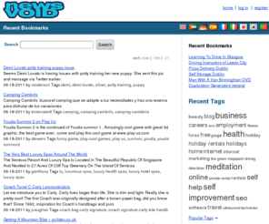 newsvoid.com: NewsVoid: Bookmarking the Web 2.0
