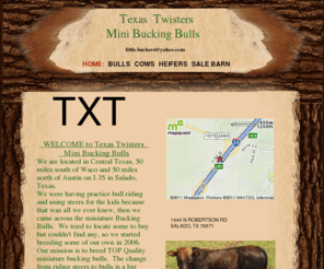 txtminibuckingbulls.com: bulls
mini bucking bulls being breed in texas