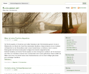klicklaminat.net: Klicklaminat.net
Blog über Klicklaminat