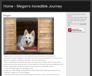 megansincrediblejourney.com: Home - Megan's Incredible Journey
Canine Epilepsy