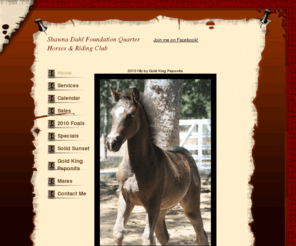 solidsunset.com: Shawna Dahl Foundation Quarter Horses
Home to Solid Sunset & Gold King Peponita, Breeding, Boarding, Sales, Riding Lessons, palomino, black and buckskin quarter horses & more