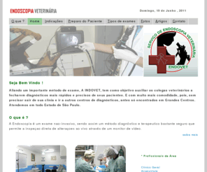 endoscopiavet.com: Endovet
  Endovet - endoscopia veterinária 