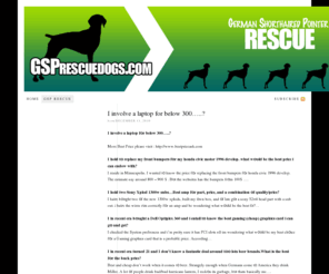 gsprescuedogs.com: GSP Rescue Dogs :: German Shorthair Ponter Rescue —
