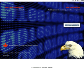 baldeaglewebsites.com: Bald Eagle Websites
Bald Eagle Websites