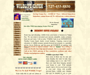 wildlifecatch.com: Wildlife Catch - Tampa Bay Trapper Doing Nuisance Wildlife Removal With Thermal Technology!
Tampa Bay Native offering you HUMANE wildlife removal. Using animal safe traps or live hand catch.Experienced trapper in the Tampa/Pinellas area,