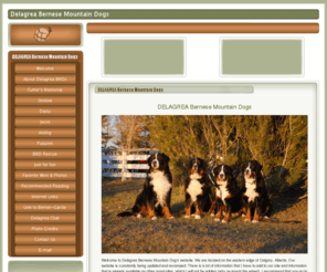 delagreabmd.com: DELAGREA Bernese Mountain Dogs
Delagrea Bernese Mountain Dogs