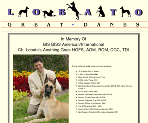 lobatogreatdanes.com: Lobato Great Danes
