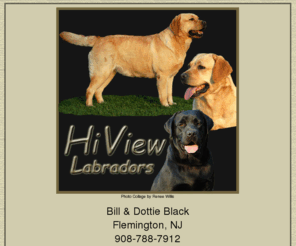 hiviewlabradors.com: Welcome to HiView Labradors & Cavalier King Charles Spaniels, Flemington, NJ
Hi View Labradors is located in Flemington New Jersey.