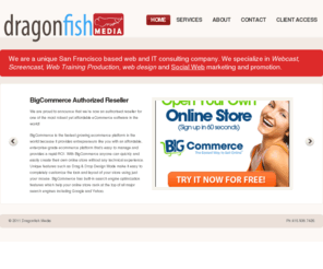 dragonfishmedia.com: Dragonfish Media | San Francisco Based Web Creative Consultant
