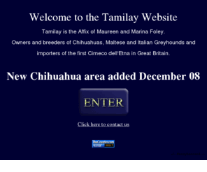 tamilay.co.uk: Tamilay website - Tamilay Chihuahuas, Maltese, Italian Greyhounds and Cirnechi
Tamilay.  Welcome to the Tamilay website.  Tamilay Chihuahuas, Maltese, Italian Greyhounds and Cirnechi