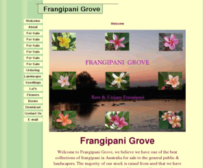 frangipanigrove.com: Welcome
unique frangipani from around the world