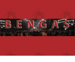 bengas.net: Oficial website of gipsy band BENGAS & the gipsy traditional world music - BENGAS - Intro
