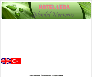 ledahotel.com: LEDA HOTEL
