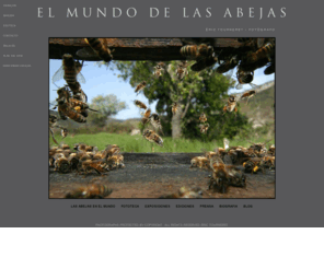 elmundodelasabejas.com: EL MUNDO DE LAS ABEJAS
le peuple des abeilles