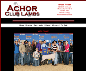 achorclublambs.com: Achor Club Lambs
Achor Club Lambs - Martinsville, OH -Ohio Club Lamb Breeder