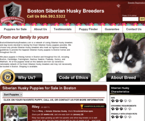 bostonsiberianhuskybreeders.com: Boston Siberian Husky Breeders.com
Boston Siberian Husky Breeders.com is a group of the finest Siberian Husky breeders and dog lovers devoted to breeding the happiest Siberian Husky puppies possible.