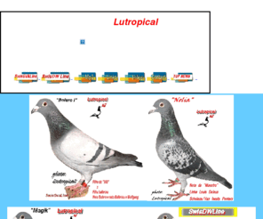 lutropical.com: Lutropical.com
Die Hosting Angebote von Hoststar bieten umfangreiche Profifunktionen zu einem günstigen Pauschalpreis. Beste Performance, sowie jahrelange Erfahrung als Hosting Anbieter bieten Ihnen beste Voraussetzungen für einen erfolgreichen Internetauftritt!