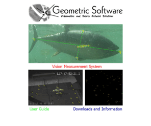 geomsoft.com: Geometric Software
Geometric Software home page