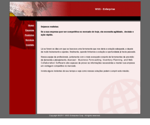 wssenterprise.com: Welcome to WSS Enterprise
