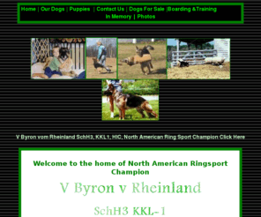 vomwildweg.com: vom Wildweg Kennel
Quality German Shepherd puppies and dog training