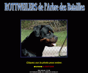 rottweiler-france.com: 
