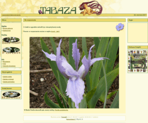 tabaza.info: TaBaza - baza roslin ozdobnych
Internetowa baza roślin ozdobnych: drzewa, krzewy, byliny, trawy, paprocie...