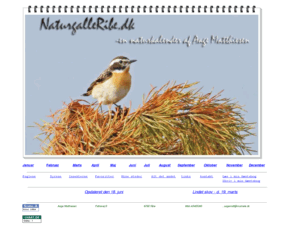 naturgalleribe.dk: index.html
Naturgalleribe er et billedgalleri med naturfotos fra Ribe og omegn. En naturkalender med hvad der rører sig i naturen netop nu.