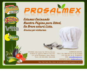 prosalmex.com: index
