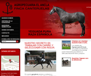 agropecuariaelancla.com: Agropecuaria El Ancla - Agropecuaria El Ancla
ganaderia, yeguada, pre, pura raza española, caballos, yeguas, potros.