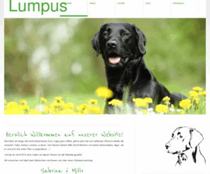 lumpus.de: Startseite
Joomla! - dynamische Portal-Engine und Content-Management-System