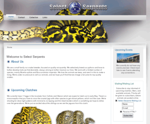 selectserpents.com: Welcome to Select Serpents
Select Serpents, your source for selectively bred pythons and boas.