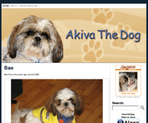 akivathedog.com: Akiva The Dog Blog
Akiva The Dog Blog: Akiva the Blogging Dog & Ask Akiva - Answers to your Dog Questions!