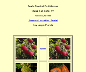 lychee.com: LYCHEE,ANNONA,MAMEY,SAPOTE,KEY LARGO VACATION RENTAL
Fresh Tropical fruits and Trees aviable in South Fla, KEY LARGO VACATION RENTAL