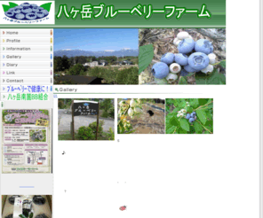 yatu-blueberry.com: 八ヶ岳ブルーベリーファーム
このサイトの説明を記述してください。