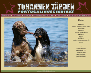 tuhannentahden.com: Tuhannen Tähden
