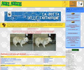 amicianimali.it: Amici Animali, animali domestici, Acquariofilia, Veterinaria, Pet Therapy, amicianimali, cane, gatto, criceto, gerbillo, cincillà, razze, agility, border collie, pesci, terranova, canile
Amici Animali, animali domestici, Acquariofilia, Veterinaria, Pet Therapy, amicianimali, cane, gatto, criceto, gerbillo, cincillà, razze, agility, border collie, pesci, terranova, canile