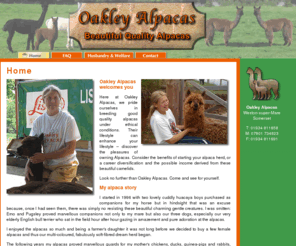 oakleyalpacas.com: Oakley Alpacas | Quality alpacas for sale | Breeding & Companion animals | Home
Here at Oakley Alpacas, we breed high quality animals under ethical conditions. We are also here to show you the pleasure of owning these beautiful camelids and how you can made a useful second income. If you want to know more, look no further than Oakley Alpcacs.