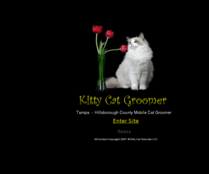 kittycatgroomer.com: tampa mobile cat groomer; hillsborough county cat grooming; tampa
Cat Grooming, Mobile CATS-ONLY groomer servicing all Hillsborough County in the Tampa Bay area, and Wesley Chapel, Pasco County, Florida.