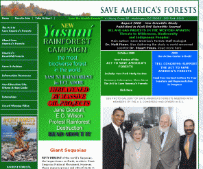 saveamericasforests.org: Save America's Forests
