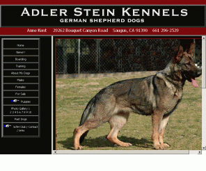 trained dogs, German Imports, Protection Dogs, Dog Training, Obedience ...