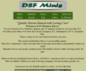 dsfminis.com: DSF Minis
